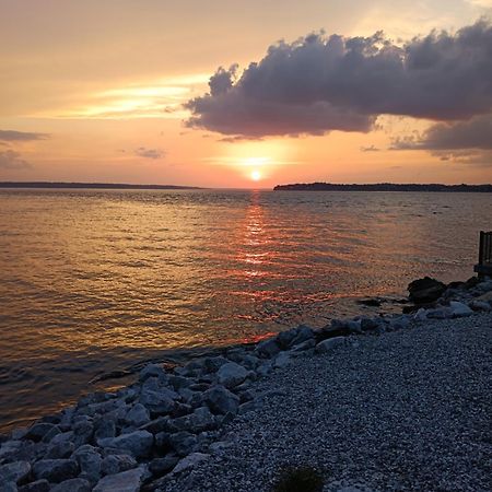 The Gemini-A Dreamy, Waterfront Tiny Cabin Rogersville Exterior photo